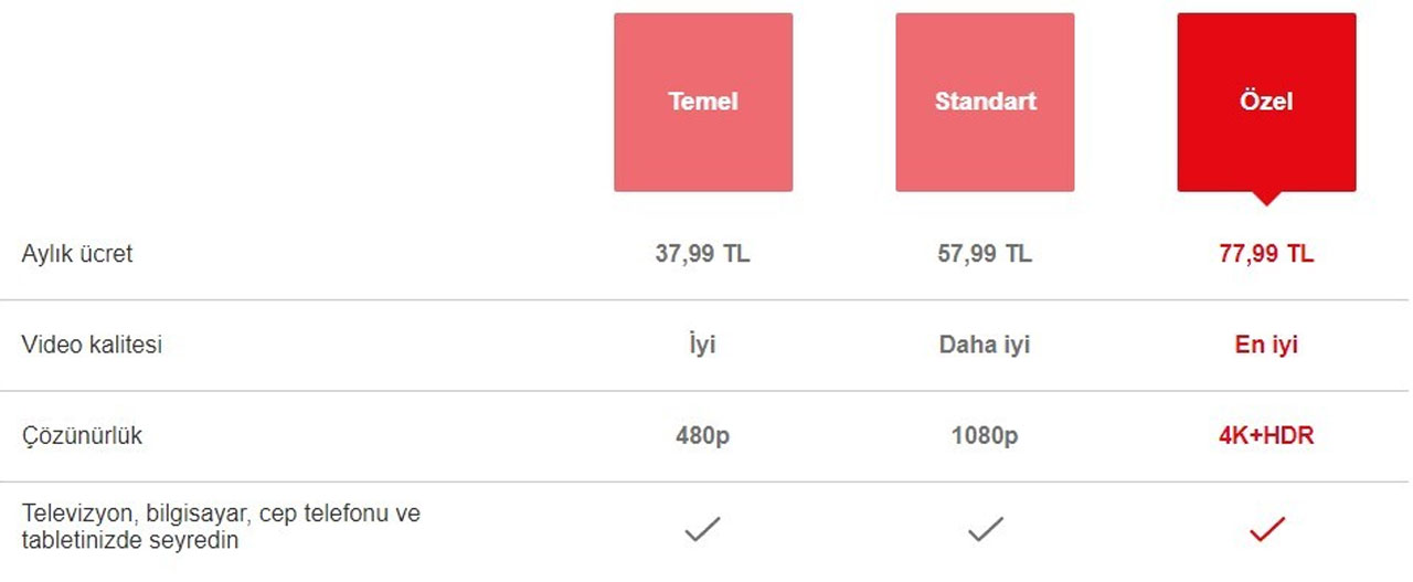 netflix abonelik fiyatları