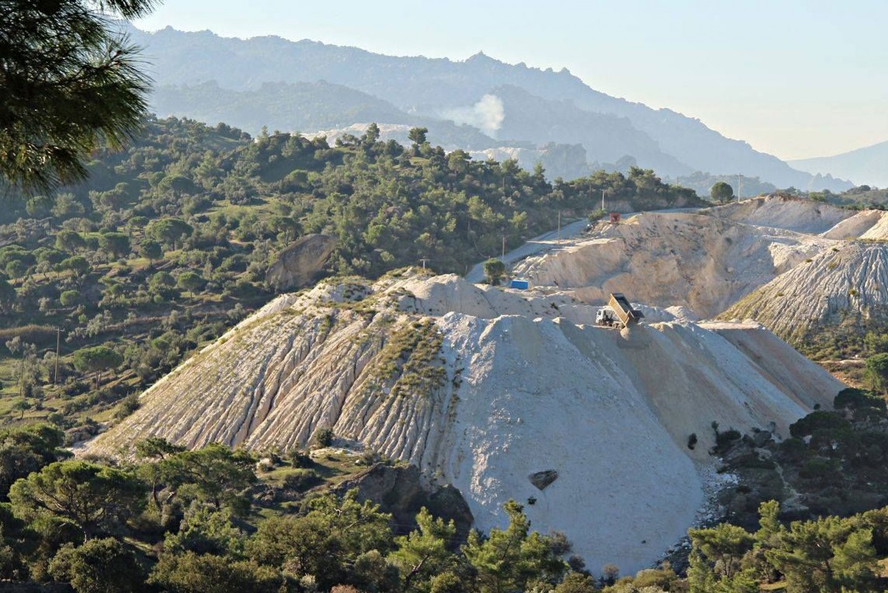 karadeniz ormanları