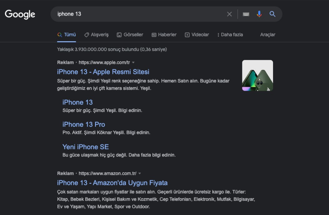 google arama sonucu