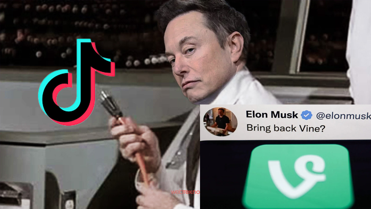 elon vine