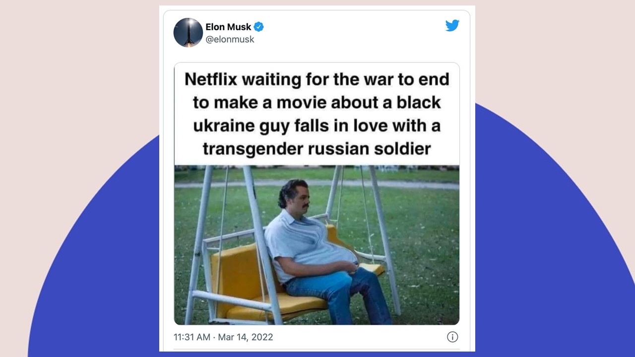 elon musk netflix