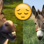 Shrek'teki Eşek'e İlham Veren Eşek Perry, Hayatını Kaybetti