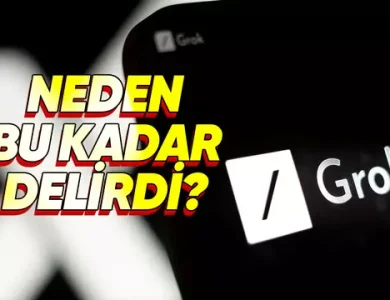 Grok'un Neden Kafayı Bozduğu Açıklandı