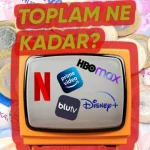 Bütün Yayın Platformlarına Abone Olmak Ne Kadar Tutuyor?