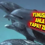 Google'dan Yunuslarla Konuşan Yapay Zekâ