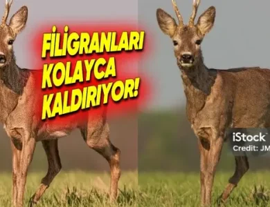 Google Gemini, Görsellerden Filigranları Kaldırabiliyor!