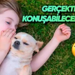 Yakında Hayvanlarla Konuşmamız Mümkün mü?