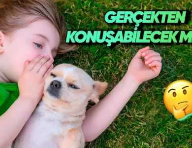 Yakında Hayvanlarla Konuşmamız Mümkün mü?