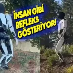 Tesla Optimus'tan Yeni Video Geldi