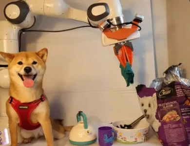 MIT Araştırmacıları, Robot Eğitmek İçin Yöntem Geliştirdi