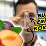 Bilim İnsanları, Kokuyu "Işınlamayı" Başardı: Peki Nasıl?