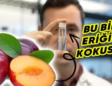 Bilim İnsanları, Kokuyu "Işınlamayı" Başardı: Peki Nasıl?