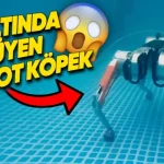 Su Altında Yürüyebilen Robot Köpek [Video]