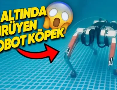 Su Altında Yürüyebilen Robot Köpek [Video]