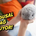 Casio, Yeni Nesil Robotik Evcil Hayvanı Moflin’i Tanıttı