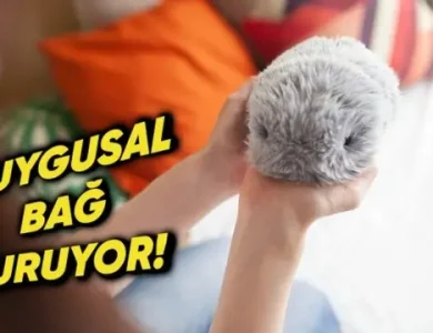 Casio, Yeni Nesil Robotik Evcil Hayvanı Moflin’i Tanıttı