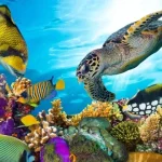 Google, Mercanları Kurtarmak İçin Yapay Zekâyı Kullanacak