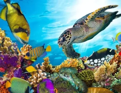 Google, Mercanları Kurtarmak İçin Yapay Zekâyı Kullanacak