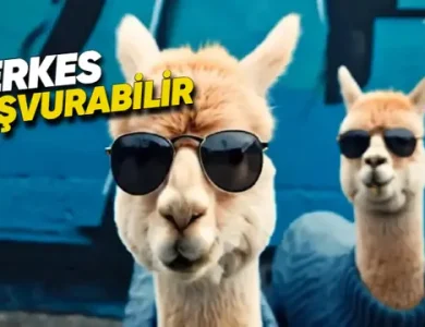 Google'ın Video Üretme Modeli Veo, Kullanıcılara Açılıyor