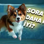 Çin'den OpenAI'a Rakip Olacak Video Oluşturma Modeli: Vidu