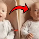 Adobe'den Videoların Kalitesini Artıran Yapay Zekâ Modeli