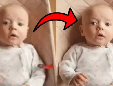 Adobe'den Videoların Kalitesini Artıran Yapay Zekâ Modeli