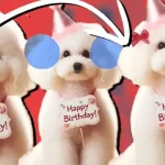 Artık ChatGPT Üzerinde Görsel Düzenlenebiliyor