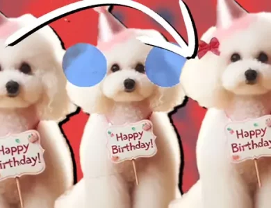 Artık ChatGPT Üzerinde Görsel Düzenlenebiliyor