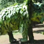 OpenAI, Sora ile Üretilmiş Yeni Videolar Paylaştı