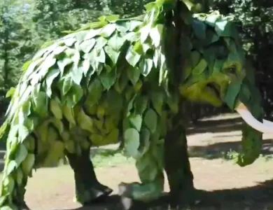 OpenAI, Sora ile Üretilmiş Yeni Videolar Paylaştı