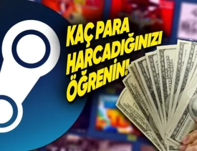 Steam'de Toplam Kaç Para Harcadığınızı Gösteren Özellik