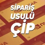 NVIDIA, Müşterilere Özel Çip Geliştirecek