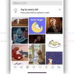 WhatsApp, iPhone uygulamasındaki GIF klavyesini güncelliyor