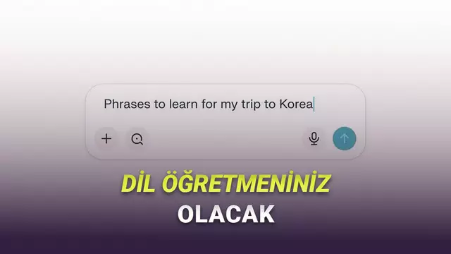 Perplexity AI'a Çok İşinize Yarayacak "Dil Öğrenme" Özelliği Geldi