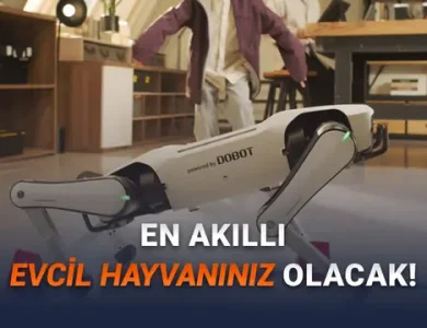 Dünyanın İlk Ev Tipi Robot Köpeği Duyuruldu: İşte iPhone'dan Bile Ucuz Fiyatı!