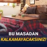 Japonların Kış Aylarında İçinden Çıkmak İstemediği O Muazzam İcat: Kotatsu Nedir?
