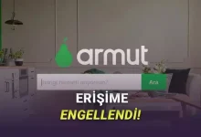 Erişim Engeli Getirilen Armut Nedir? Neden Erişime Engellendi?