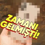 Apple Bir iPhone Modelini Daha "Külüstür" İlan Etti