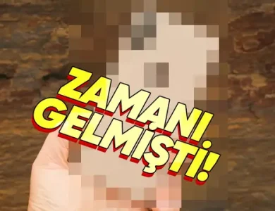 Apple Bir iPhone Modelini Daha "Külüstür" İlan Etti