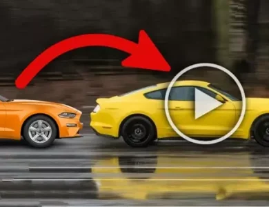 Google'dan Fotoğraftan Video Oluşturan Yapay Zeka [Video]