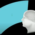 Neuralink, Önümüzdeki Ay Etkinlik Düzenleyecek