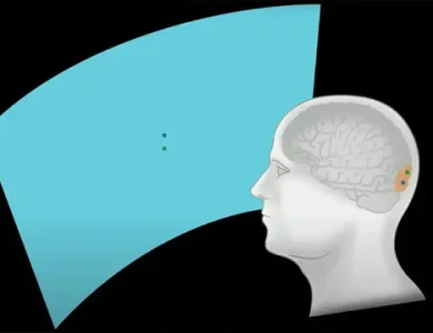 Neuralink, Önümüzdeki Ay Etkinlik Düzenleyecek 13 Neuralink, Önümüzdeki Ay Etkinlik Düzenleyecek