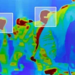 Yapay Zekâ, Ateşi Olan İnsanları Belirlemede Kullanılacak