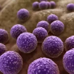 Bilim İnsanları, Yapay Zekâyla Yeni Bir Antibiyotik Keşfetti