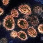 Robotlar, Corona Virüsünün Tedavisine Yardımcı Oluyor