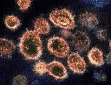 Robotlar, Corona Virüsünün Tedavisine Yardımcı Oluyor