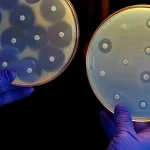 Makine Öğrenme Kullanılarak Bir Antibiyotik Geliştirildi