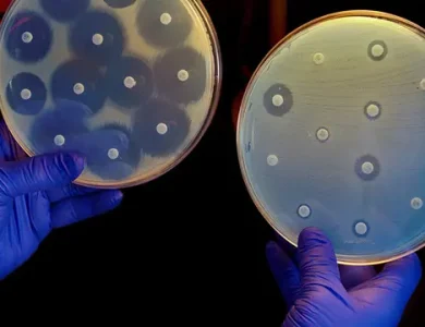 Makine Öğrenme Kullanılarak Bir Antibiyotik Geliştirildi