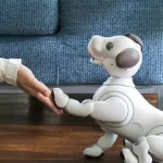 Akıllı Robot Aibo Evin Her Köşesinde Var Olmaya Hazırlanıyor