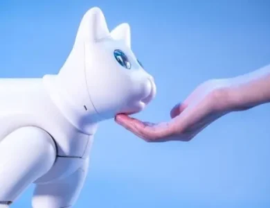 Dünyanın İlk Biyonik Kedisi İle Tanışın: MarsCat